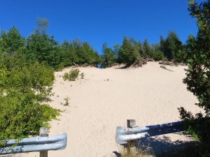 Sand Dunes