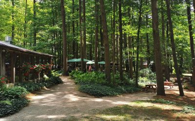 Food Adventures of Oxford and Elgin County