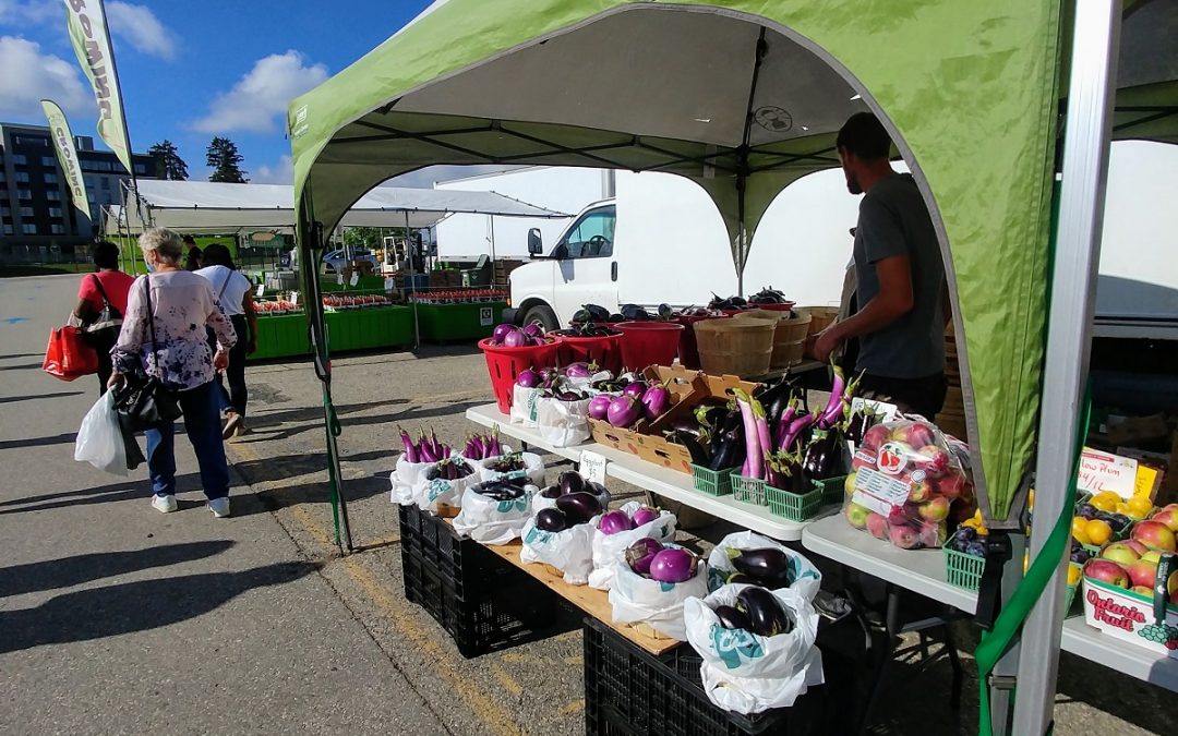 Famous St. Jacobs Farmers Market and more
